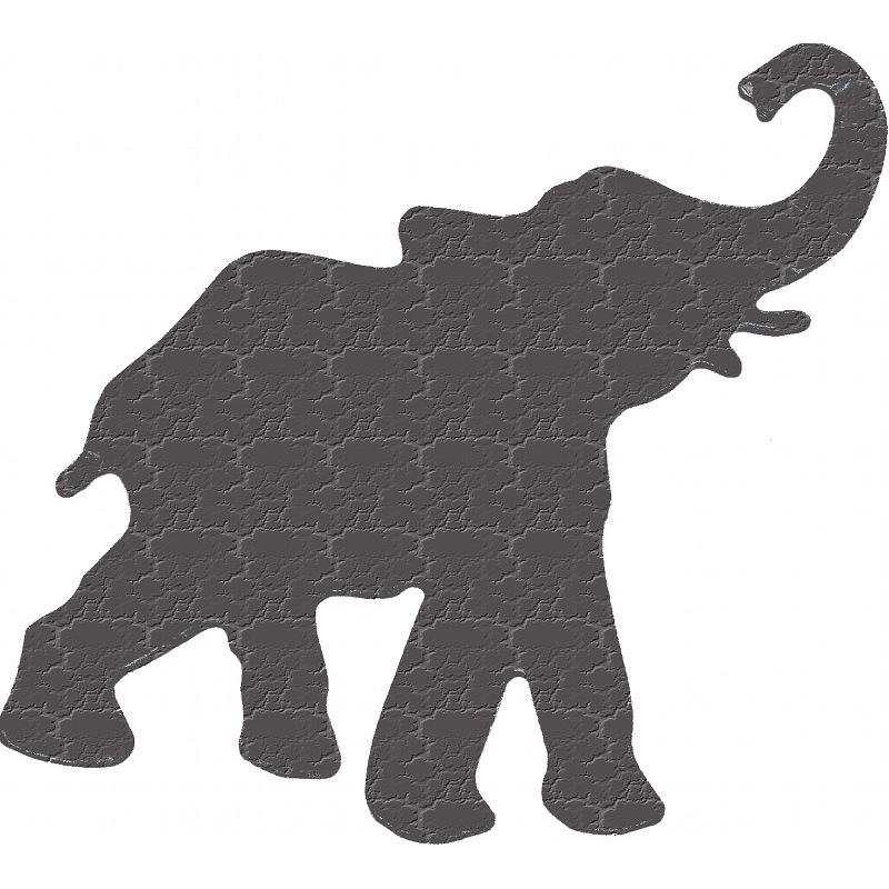 More about elephant