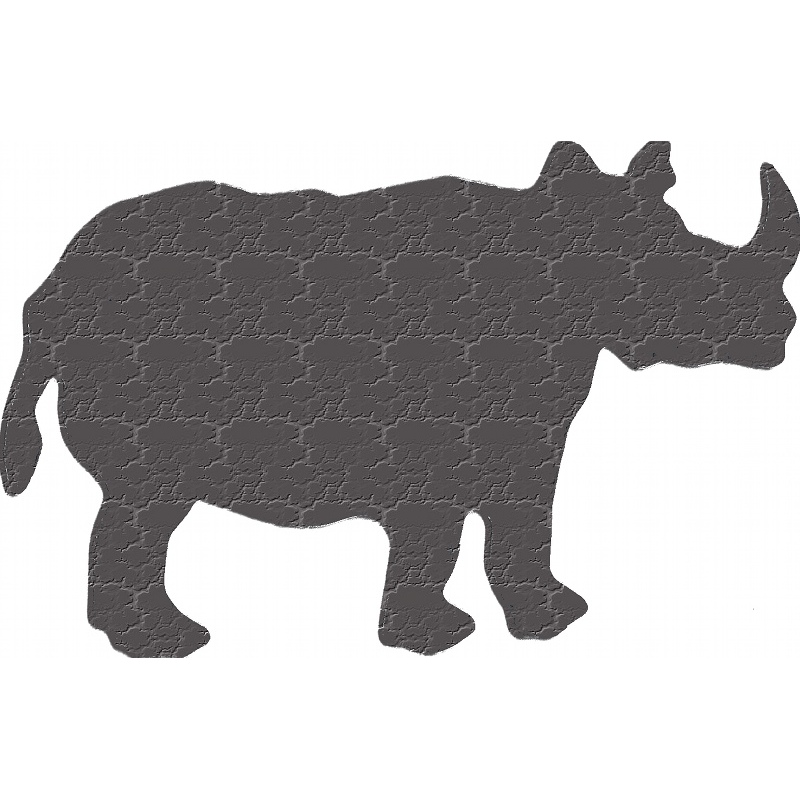 More about rhinoceros