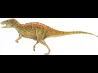 Acrocanthosaurus image