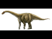 Aeolosaurus image