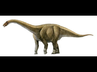 Dinosaur  -  Aeolosaurus