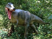 Albertosaurus image
