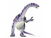 Alxasaurus image