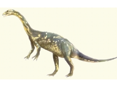 Dinosaur  -  Ammosaurus