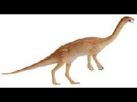 Anchisaurus image