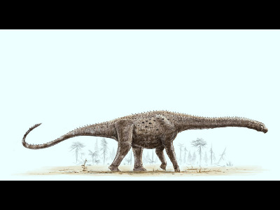 Dinosaur  -  Argentinosaurus