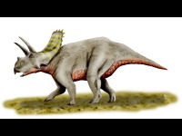 Arrhinoceratops image