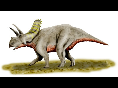 Dinosaur  -  Arrhinoceratops