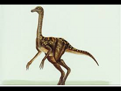 Dinosaur  -  Gallimimus