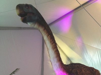 Dinosaur  -  Gigantoraptor
