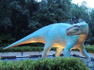 Dinosaur  -  Iguanodon
