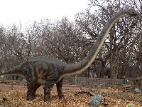 Omeisaurus image