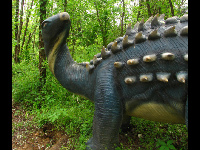 Scelidosaurus image