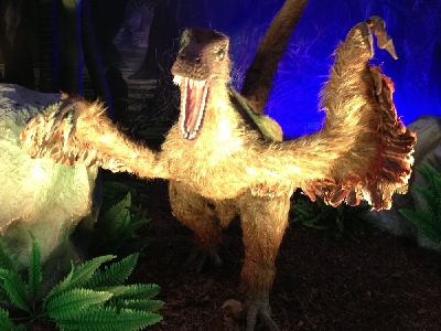 Dinosaur  -  Sinosauropteryx