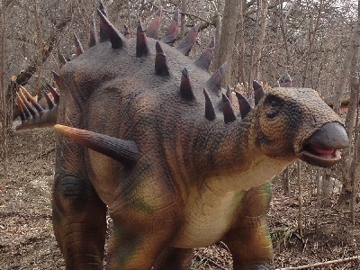 Dinosaur  -  Tuojiangosaurus