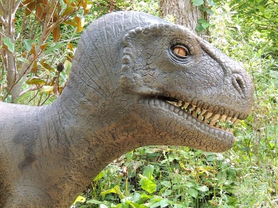 Dinosaur  -  Tyrannosaurus Rex