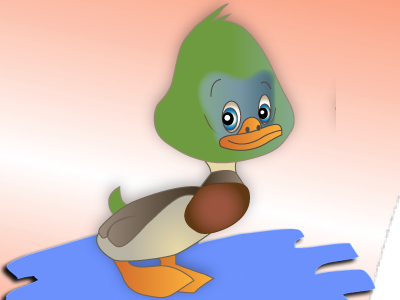 Duck  