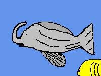 Elefish image