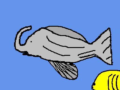 Elefish