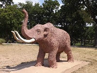 Mastodon image