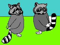 Owcoon image