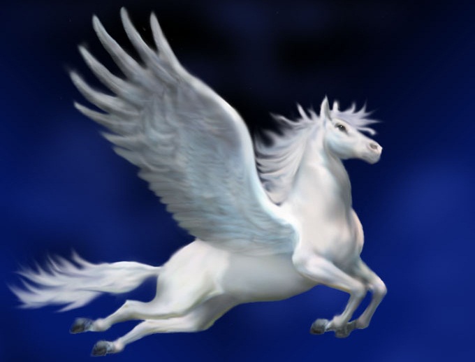 Pegasus (White)  