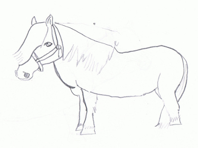 pony/pony_Shetland_Pony