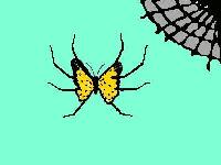 Sputterfly image